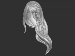 Hair 35 3D Print Model