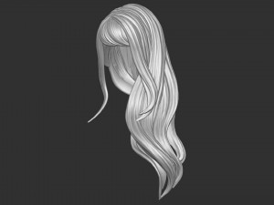 Hair 35 3D Print Model