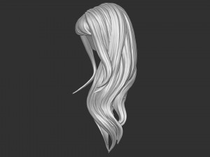 Hair 35 3D Print Model