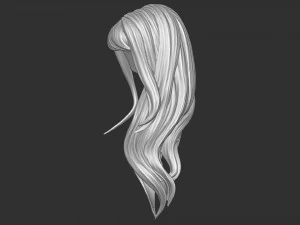 Hair 35 3D Print Model