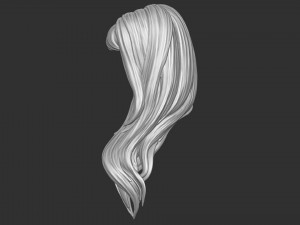Hair 35 3D Print Model