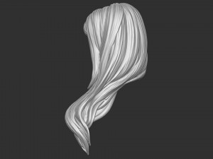Hair 35 3D Print Model
