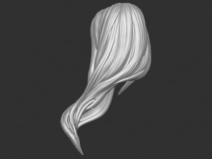 Hair 35 3D Print Model