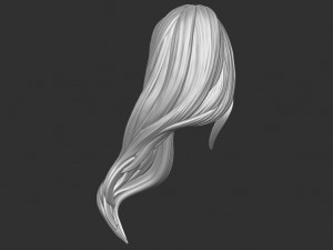 Hair 35 3D Print Model