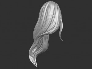 Hair 35 3D Print Model