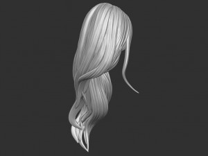 Hair 35 3D Print Model