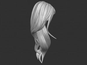 Hair 35 3D Print Model