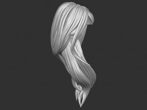 Hair 35 3D Print Model