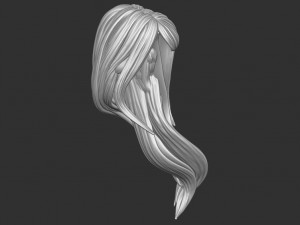 Hair 35 3D Print Model