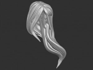Hair 35 3D Print Model