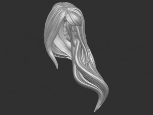 Hair 35 3D Print Model