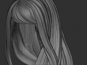 Hair 35 3D Print Model