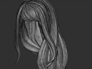Hair 35 3D Print Model