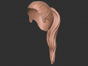 Hair 38 3D Принт Модель