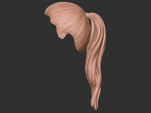 Hair 38 3D Принт Модель