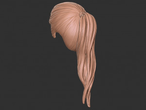 Hair 38 3D Принт Модель