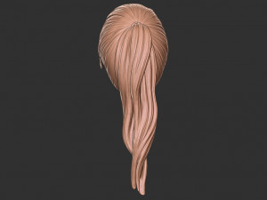 Hair 38 3D Принт Модель