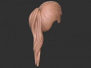 头发 38 3D 打印模型