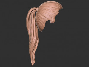 Hair 38 3D Принт Модель