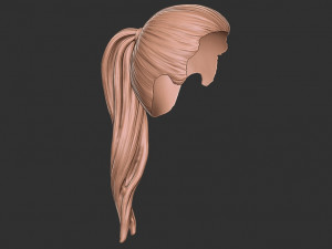 Hair 38 3D Принт Модель