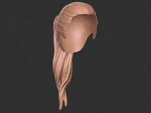 Hair 38 3D Принт Модель