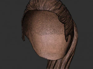 头发 38 3D 打印模型