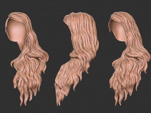 Hair 39 3Dプリントモデル