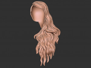 Hair 39 3Dプリントモデル