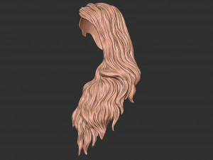Hair 39 3D Print Model
