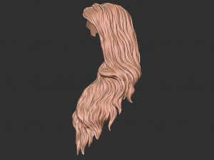 Hair 39 3Dプリントモデル