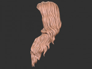 Hair 39 3Dプリントモデル