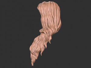 Hair 39 3Dプリントモデル