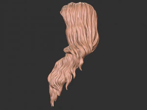 Hair 39 3D Print Model