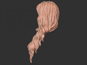 Hair 39 3Dプリントモデル