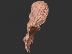 Hair 39 3Dプリントモデル