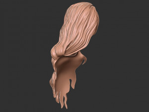 Hair 39 3Dプリントモデル
