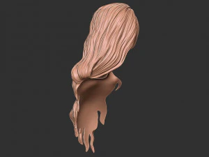 Hair 39 3D Print Model