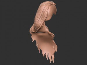 Hair 39 3Dプリントモデル