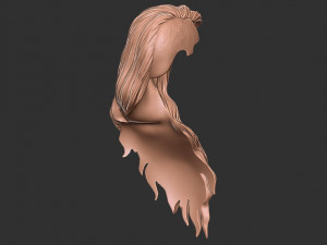 Hair 39 3Dプリントモデル
