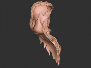 Hair 39 3Dプリントモデル