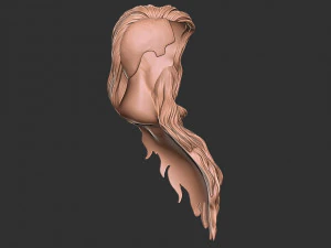 Hair 39 3D Print Model