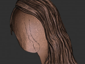 Hair 39 3Dプリントモデル