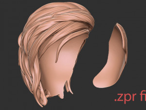 Hair 40 3D-Druckmodell