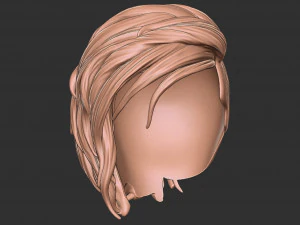 Hair 40 3D Print Model