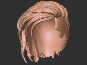 Hair 40 3D-Druckmodell
