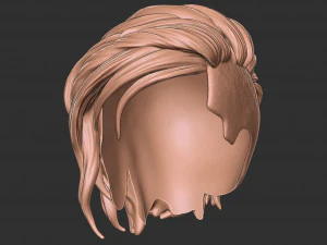 Hair 40 3D Print Model
