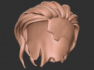 Hair 40 3D-Druckmodell