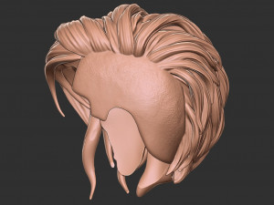 Hair 40 3D-Druckmodell