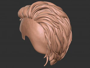Hair 40 3D Print Model