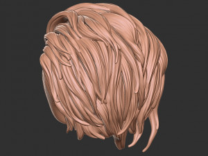 Hair 40 3D-Druckmodell